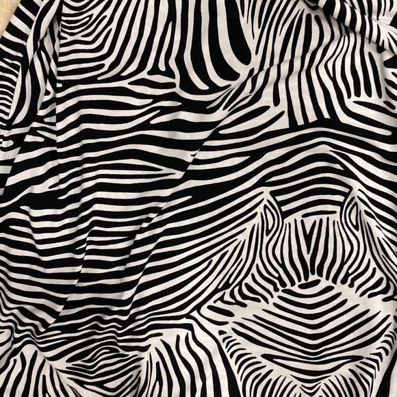 Merona Zebra Strip Button Down Knee length Dress w/ tie at waist - S - Picture 2 of 9